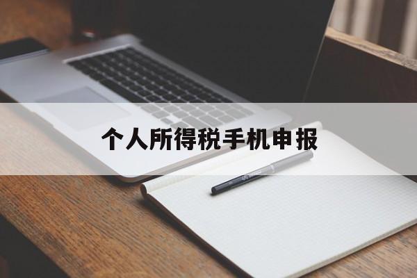 个人所得税手机申报(手机版个人所得税申报流程图)